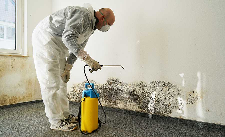 Mold Remediation illustration